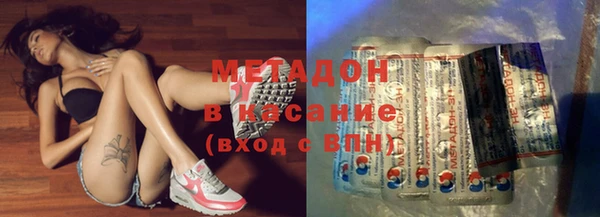 прущие грибы Аркадак