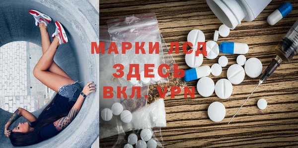 прущие грибы Аркадак