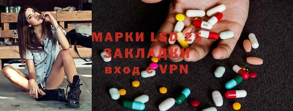 прущие грибы Аркадак