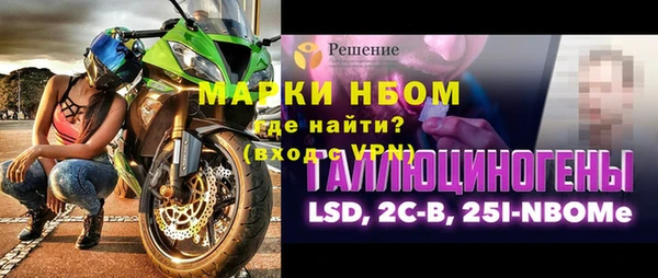 прущие грибы Аркадак