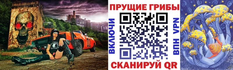 Псилоцибиновые грибы Psilocybe  OMG ссылка  Орлов 